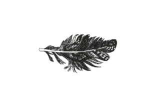 Feather Intricate: A Bohemian Embroidery Design for Modern Crafters